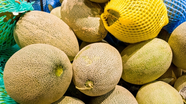 Canadá vincula muertes por salmonella a melones procedentes de México