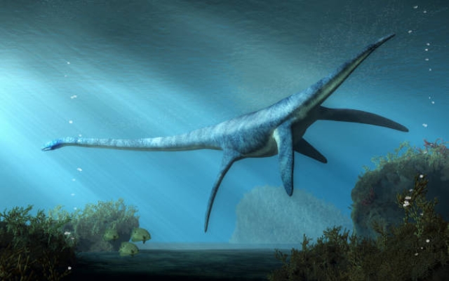Descubren nueva especie de plesiosaurio en yacimiento jurásico de Alemania