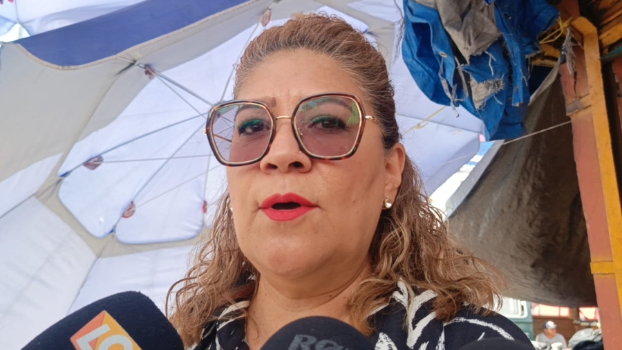 Destaca directora del mercado ALM reordenamiento de 11 bodegas