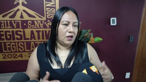 La diputada no descarta una nueva terna para elegir a la representación del TSJ. 