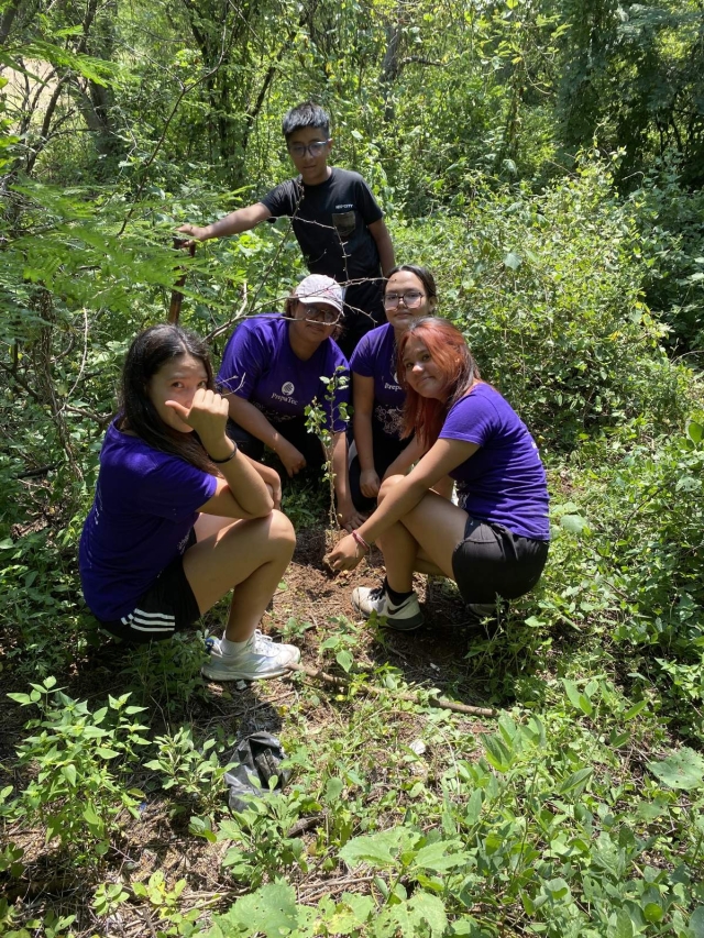 Estudiantes plantan más de 500 árboles en el cerro El Jumil