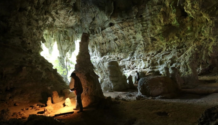 Hallan en Indonesia la pintura rupestre más antigua del mundo