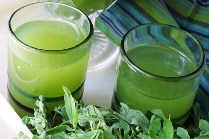 Agua de alfalfa, agrega una bebida saludable a tu alimentación ¡te damos la receta!