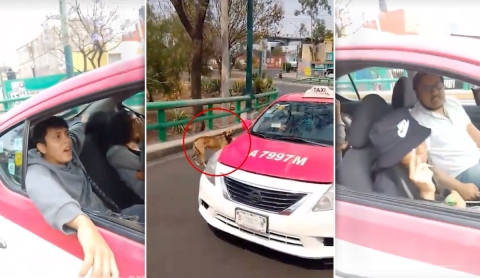 Mujer enfrenta a pasajeros de taxi por abandonar a un perro en Iztapalapa: &#039;¡No lo dejen, lo van a atropellar!&#039;