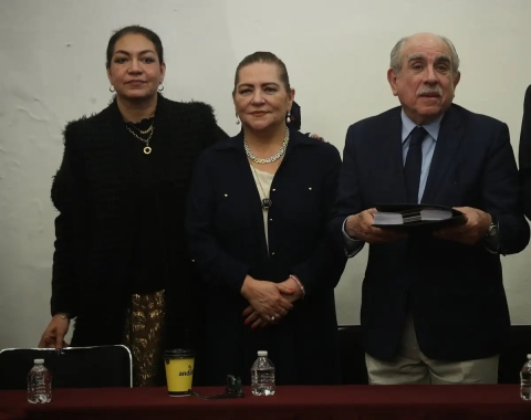 INE pide que reforma electoral no elimine a los Oples