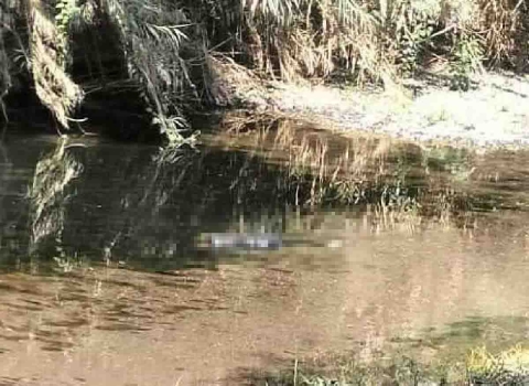 Hasta la noche de ayer no habían revelado la identidad de estas personas.