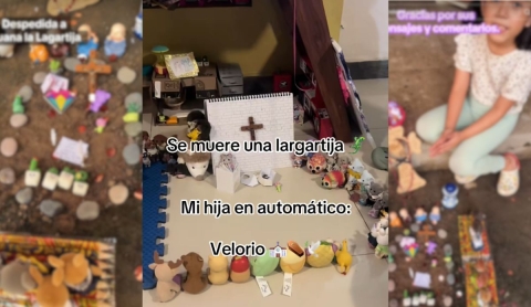 Niña organiza funeral completo para lagartija y conmueve a redes; video enternece por su detalle y empatía