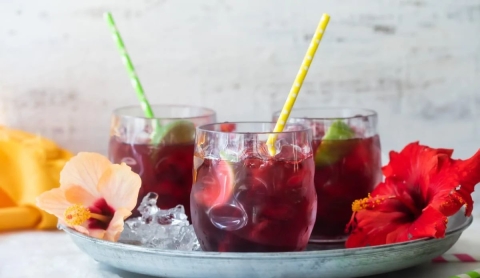 Beneficios de tomar jamaica diariamente para tu salud y bienestar