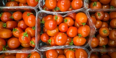 Estados Unidos impone arancel del 17% a tomates mexicanos