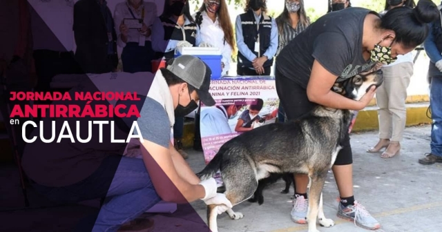 La campaña está enfocada en vacunar perros y gatos.