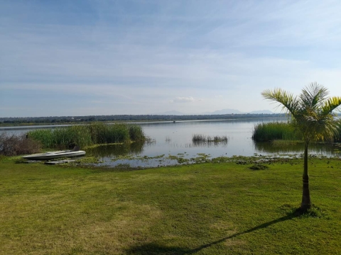 Anuncian programa de la Feria del Pescado de Coatetelco