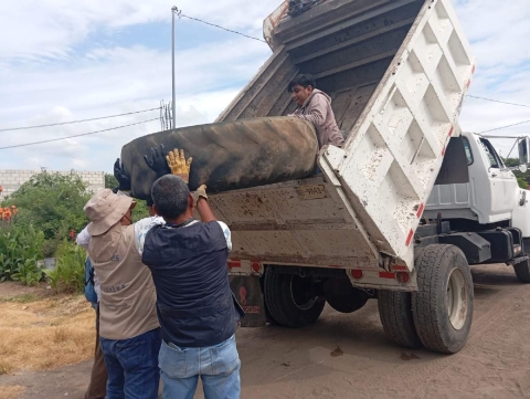 Jonacatepec intensifica acciones contra criaderos de mosquitos