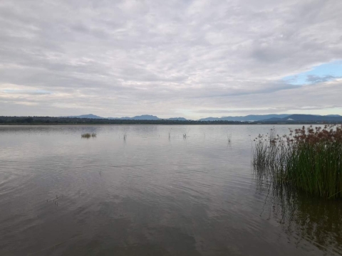 Preocupa a pescadores bajo nivel de la laguna de Coatetelco