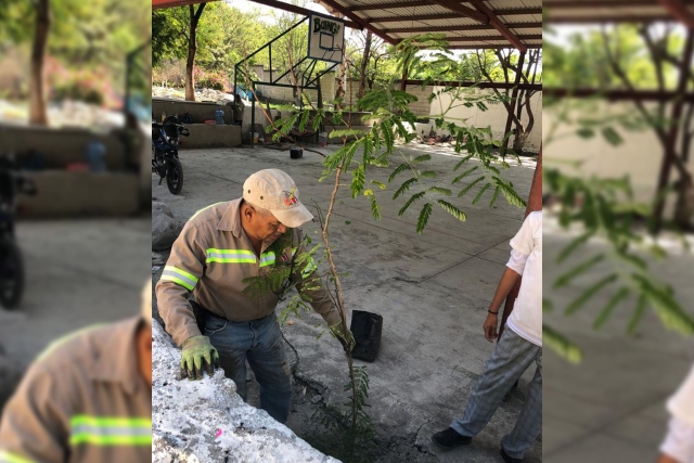 Temixco realiza plantaciones de especies nativas en telesecundaria