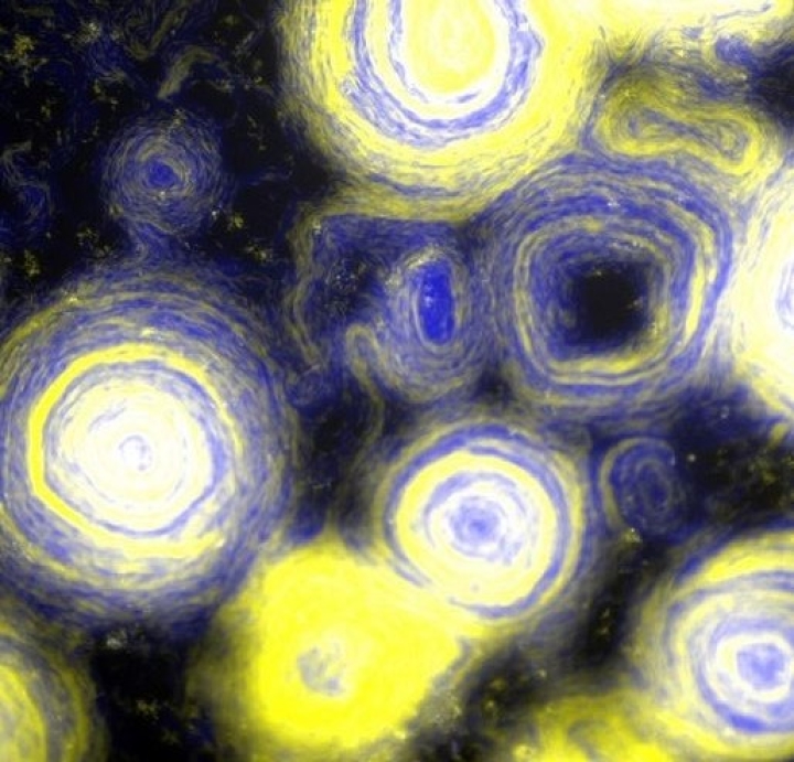 Bacterias mutantes recrearon accidentalmente una de las pinturas más icónicas de Van Gogh