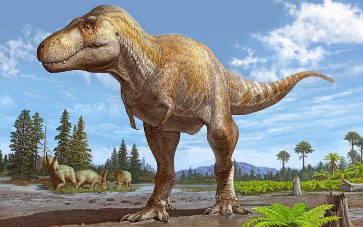 Fósil hallado en Nuevo México confirma nueva especie de Tiranosaurio