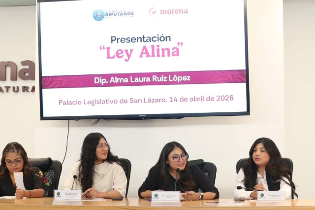 Analizan diputados la &ldquo;Ley Alina&rdquo;