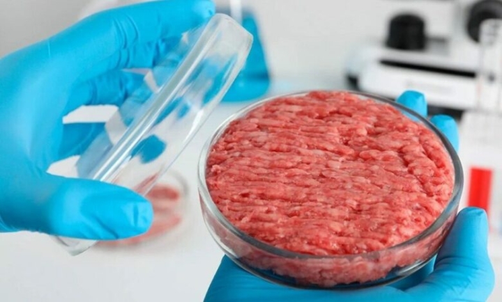 Carne artificial es la solución para detener el calentamiento global