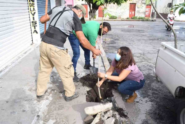 La plantación de los árboles no sólo se realiza en la zona ordenada por la SCJN, sino también en otros puntos.