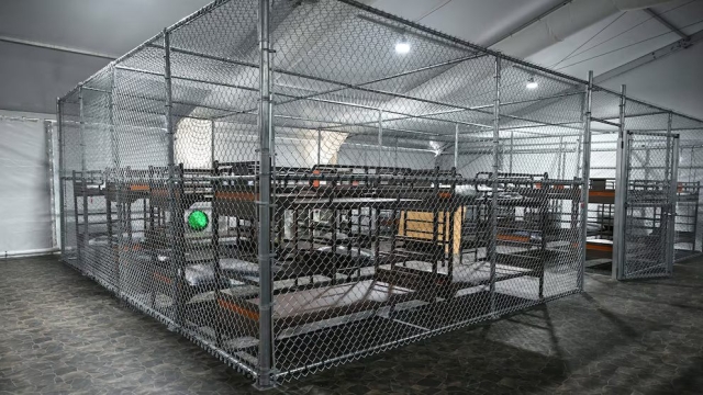 Llegan los primeros migrantes al centro de detención ‘Alligator Alcatraz’ en Florida