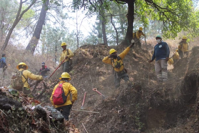 Son 250 las personas que combaten incendio forestal entre Tlayacapan y Tepoztlán