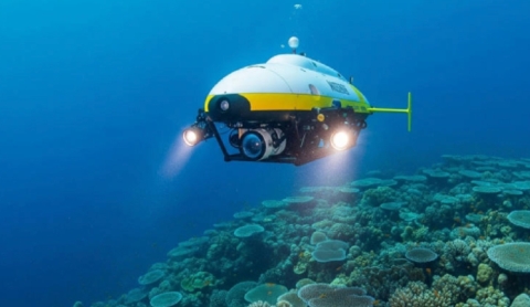 Drones submarinos: aliados tecnológicos para proteger la vida marina