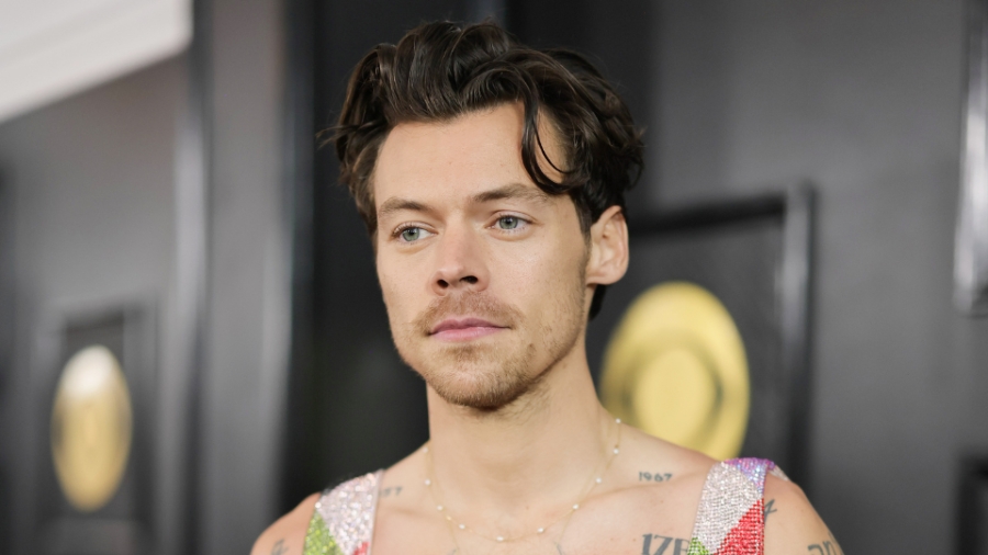 Mujer que acosó a Harry Styles recibe condena y orden de restricción