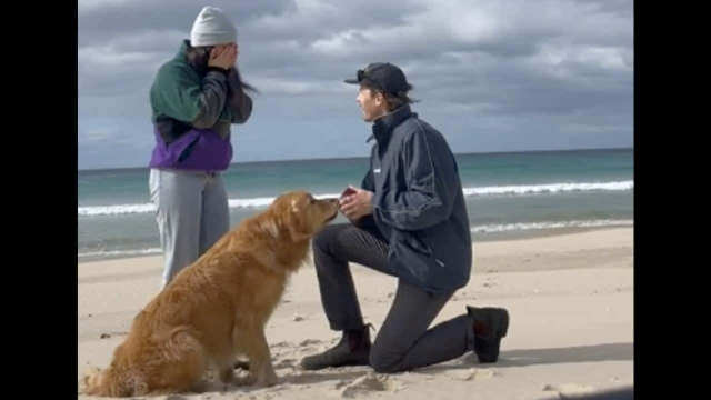 Reacción de un perrito se vuelve viral.