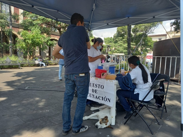 Aplicación de vacuna contra la influenza en la plaza de armas de Cuernavaca