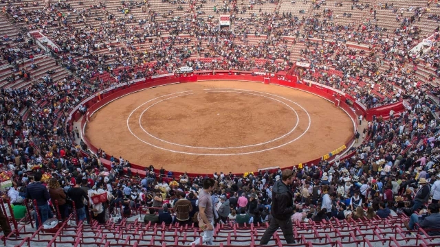 En CDMX ya se pueden realizar eventos deportivos al aire libre.