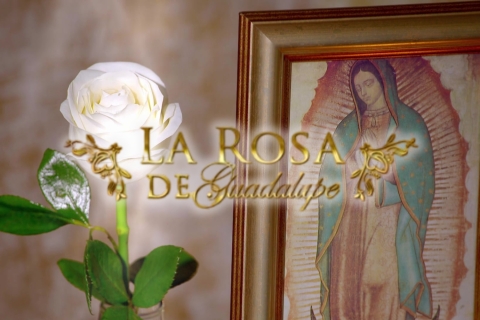 La Rosa de Guadalupe recibe la &#039;Placa Diamante&#039; de YouTube por superar los 10 millones de suscriptores