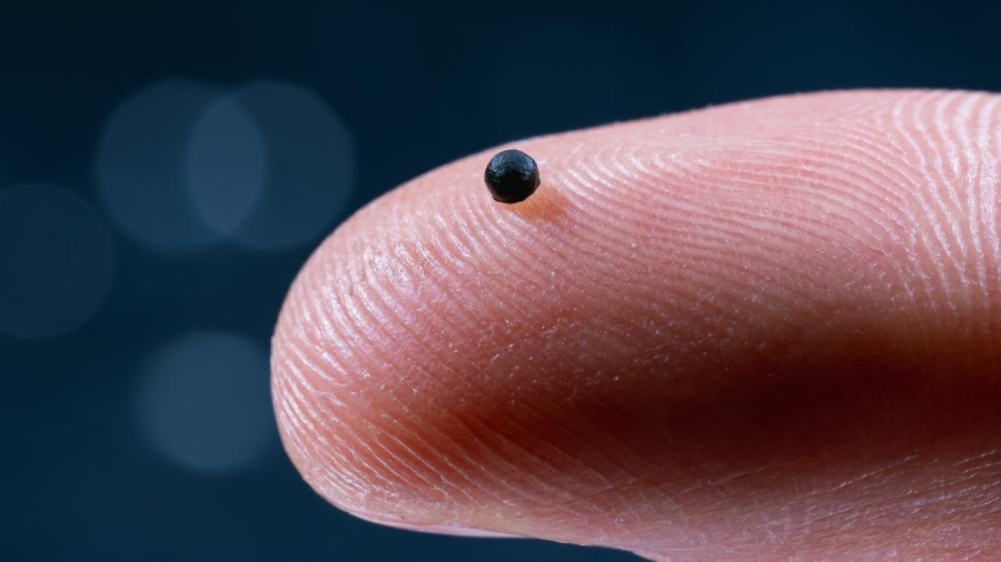 Científicos desarrollan microbots de gelatina capaces de navegar por la sangre y liberar medicamentos con precisión