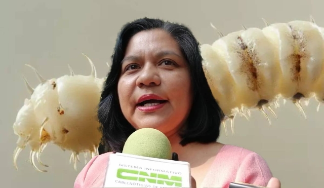 ALERTA NACIONAL