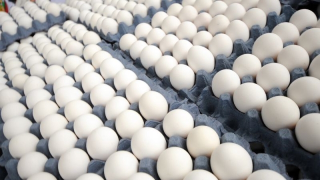 Precio de pollo y huevo se dispara por gripe aviar en granjas de cuatro estados