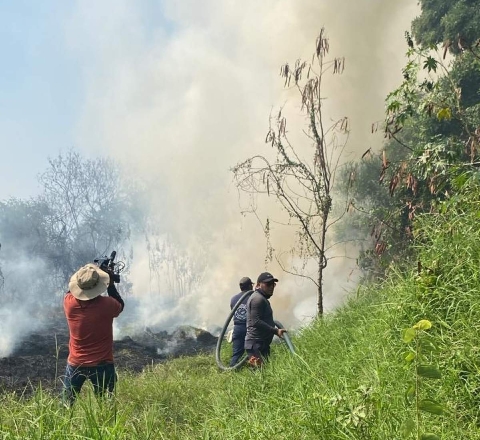 Las altas temperaturas y los fuertes vientos contribuyen a la proliferación de incendios forestales, aunado a la mano del hombre.