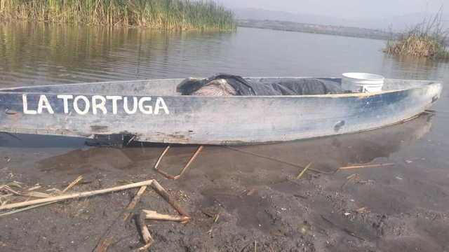 En crisis, pescadores de Coatetelco por bajo nivel de la laguna