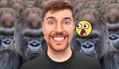 MrBeast propone reto de 100 hombres contra un gorila