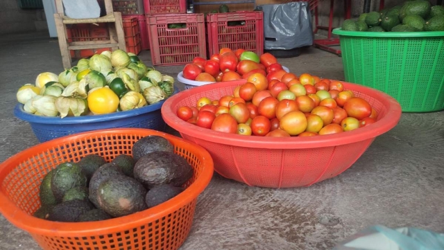 A pesar de su precio, el aguacate es parte de la alimentación del mexicano.