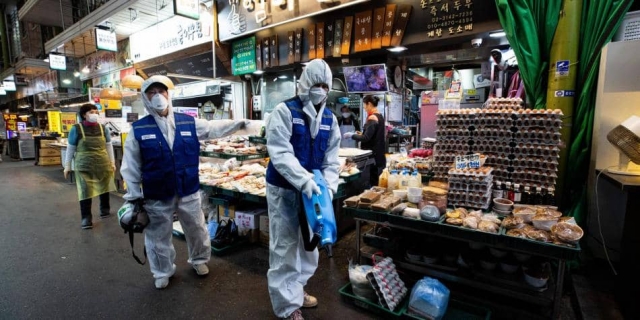 OMS pide suspender la venta de animales salvajes en mercados.