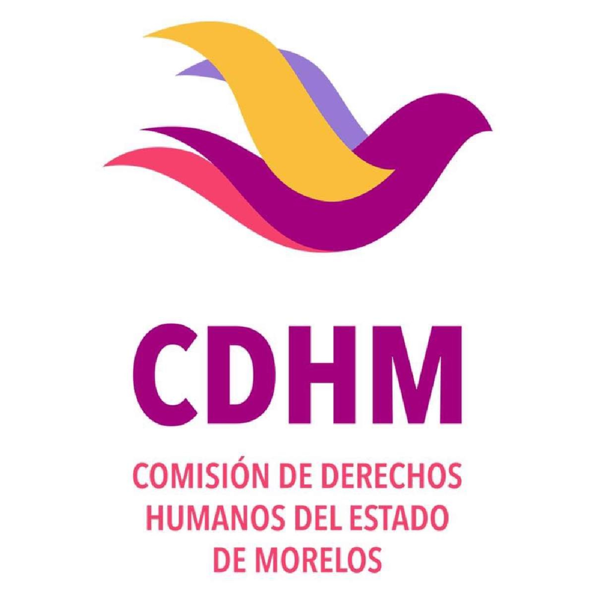CDHM se inconforma con el presupuesto asignado por Congreso