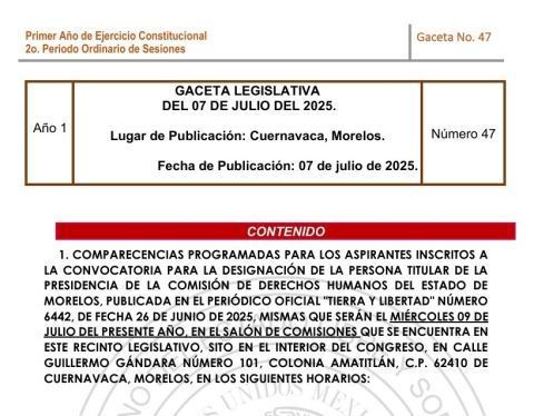 Hay 28 aspirantes para dirigir la CDHM