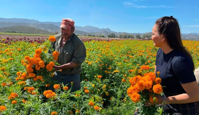 Productores de flores esperan buenas ventas