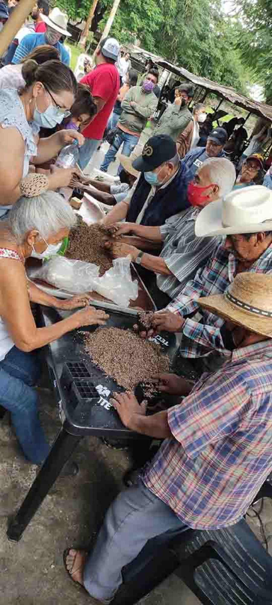 Hubo una numerosa participación en el taller.