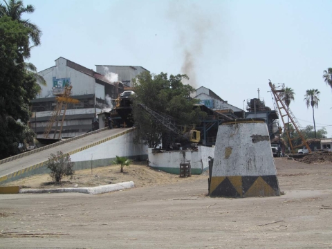 En unos días más se espera que termine el acarreo de caña al IEZ, y tres días después, todo el proceso de la molienda.