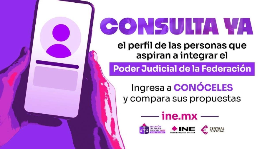 El INE ha dispuesto una plataforma para dar a conocer los principales datos de cada persona de las que aspiran a una magistratura.