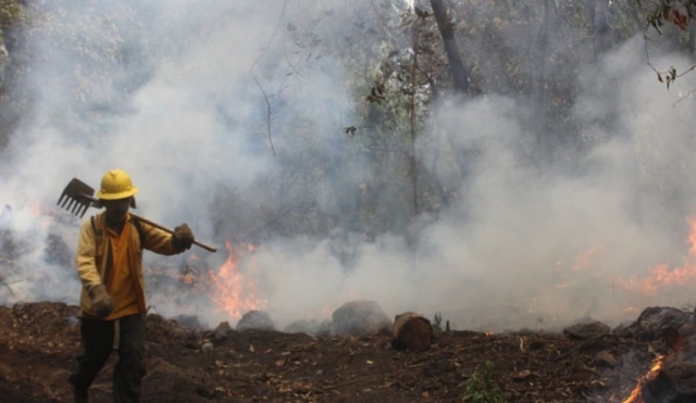 Llaman a amacuztecos a prevenir incendios por altas temperaturas