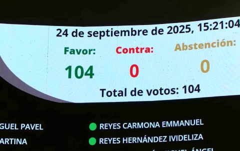 El Senado remitió el proyecto a las legislaturas estatales.