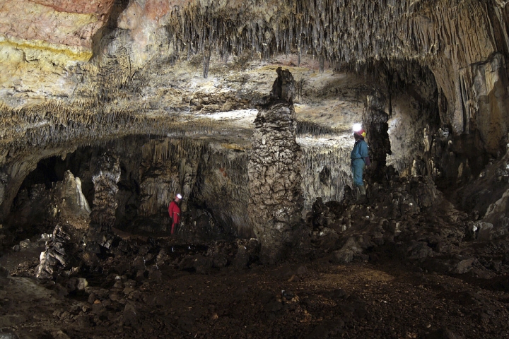 Descubren que comíamos perro hace 7000 años