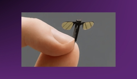 Mosquito biónico para espionaje: el futuro del reconocimiento militar