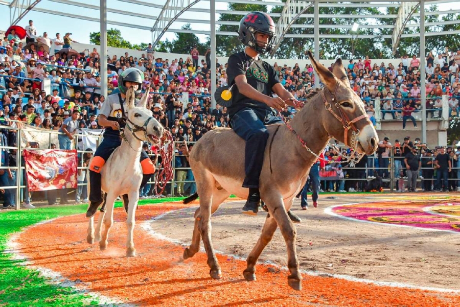 El evento estuvo lleno de color y diversión.
